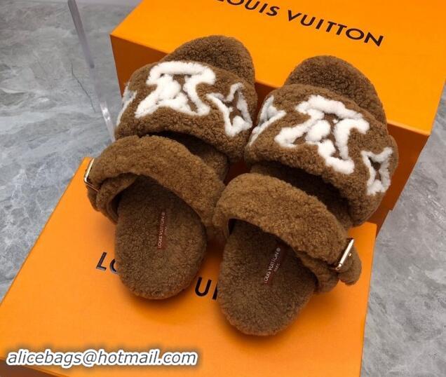 Buy Luxury Louis Vuitton Wool Fur Flat Slides Sandal with Buckle Brown 1015066