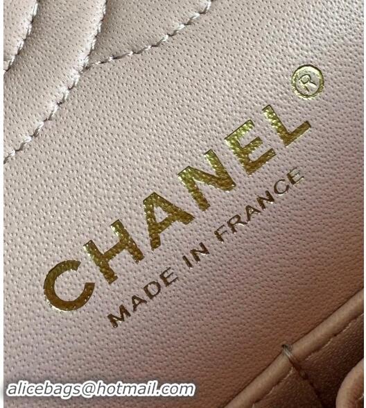 Hot Style Chanel Classic Grained Calfskin Medium Flap Bag A01112 Sakula Pink 2024