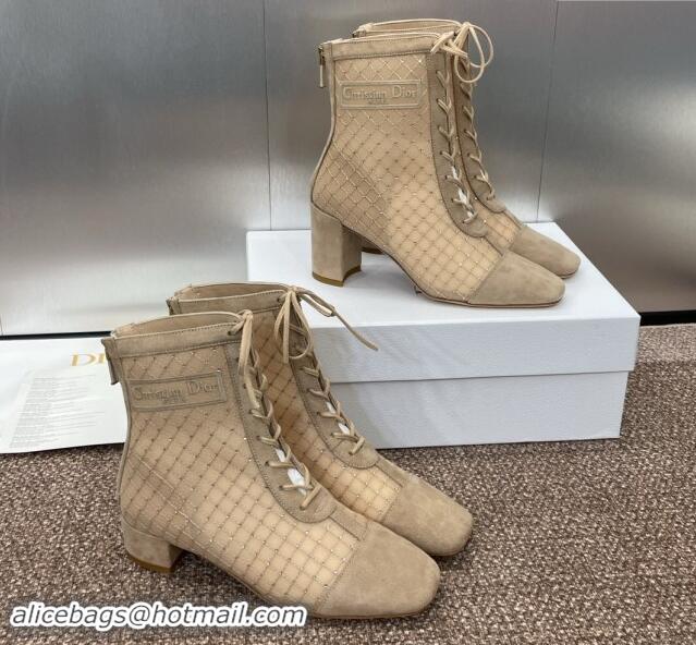 Good Looking Dior Naughtily-D Heeled Ankle Boots 6.5cm in Transparent Mesh Embroidered with Strass and Beige Suede 11220