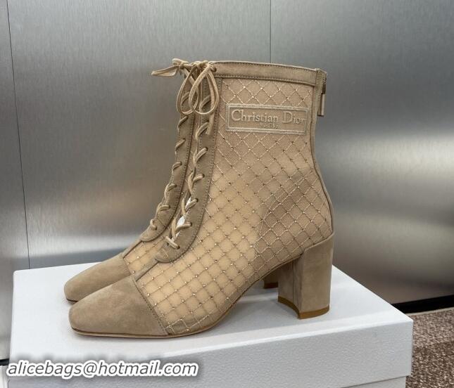 Good Looking Dior Naughtily-D Heeled Ankle Boots 6.5cm in Transparent Mesh Embroidered with Strass and Beige Suede 11220