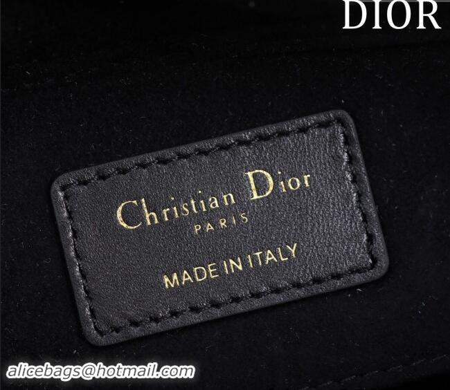 Specials Classic Dior Small Lady D-Joy Bag in Cannage Lambskin M0541 Black 2024