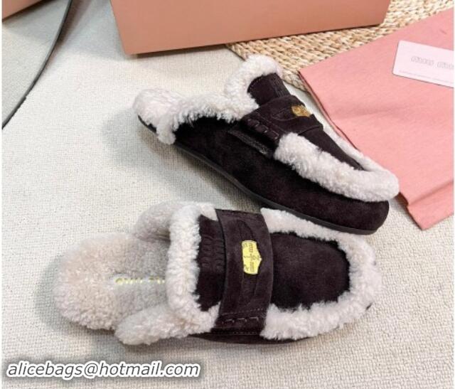 Best Product Miu Miu Suede and Shearling Wool Flat Mules with Coin Dark Brown 1114031