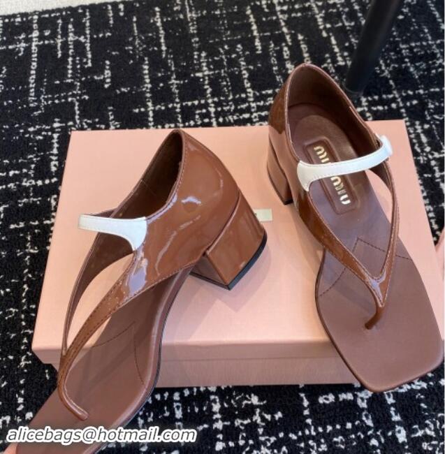 Most Popular Miu Miu Patent Leather Thong Sandals with White Strap Dark Brown 1114037