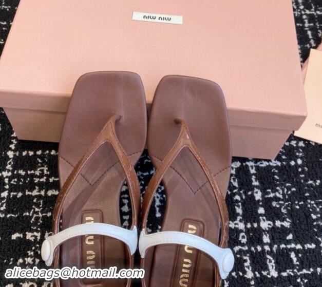 Most Popular Miu Miu Patent Leather Thong Sandals with White Strap Dark Brown 1114037