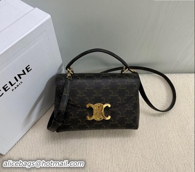 Well Crafted Celine Teen Nino Bag in Triomphe Canvas C118112 2024