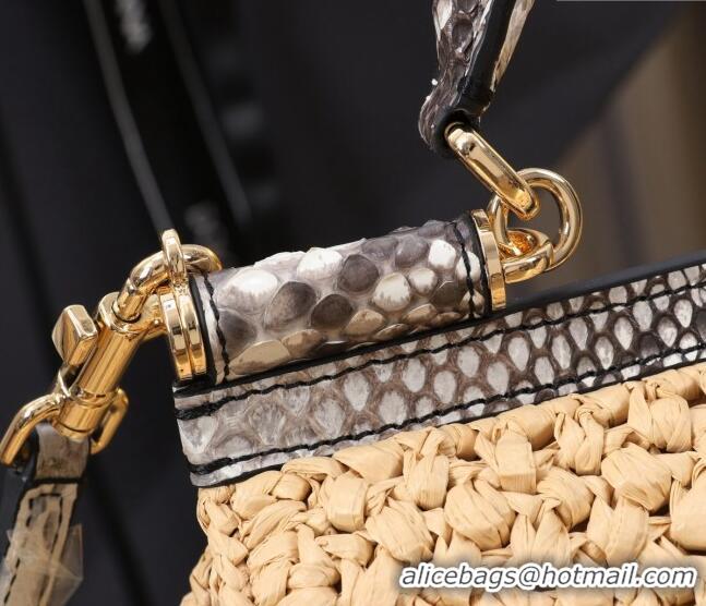 Best Design Dolce&Gabbana Small Sicily handbag in Raffia Crochet and Snakeskin Embossed Leather BB6112 Beige/Grey 2024