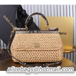 Trendy Design Dolce&Gabbana Elongated Medium Sicily handbag in Raffia Crochet and Snakeskin Embossed Leather BB6116 Beig