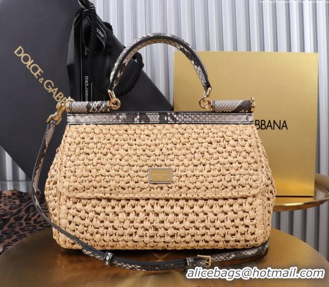 Trendy Design Dolce&Gabbana Elongated Medium Sicily handbag in Raffia Crochet and Snakeskin Embossed Leather BB6116 Beig