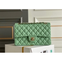 Most Popular Chanel Quilted Grained Calfskin Classic Medium Flap bag A01112 Light Green 2024