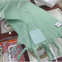 Top Design Loewe Wool and Mohair Long Scarf 35x200cm 0130 Light Green 2024