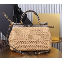 Trendy Design Dolce&Gabbana Elongated Medium Sicily handbag in Raffia Crochet and Snakeskin Embossed Leather BB6116 Beig