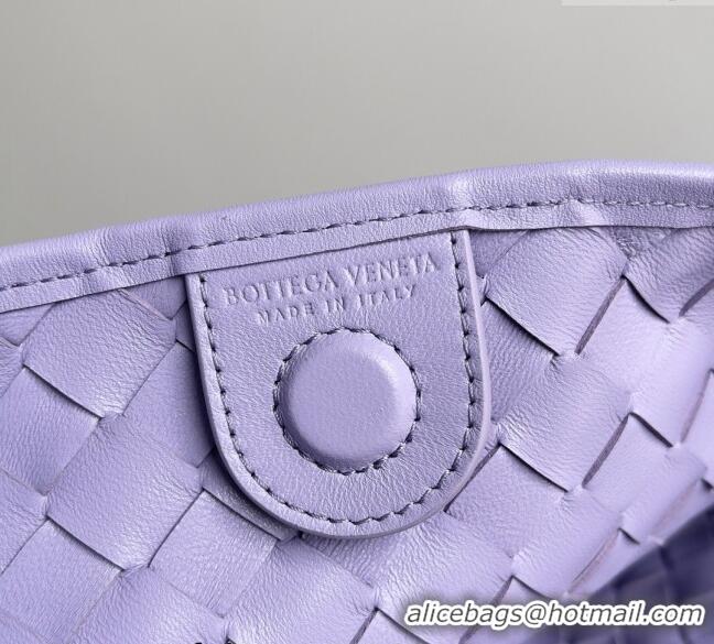 Top Design Bottega Veneta Sardine Bag in Intrecciato Leather 716082 Purple 2024