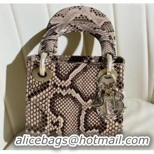 Buy Inexpensive Dior Mini Lady Dior Bag in Python Leather D123007 Grey/Gold 2024