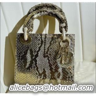 Buy Discount Dior Mini Lady Dior Bag in Python Leather D123008 Grey/Gold 2024