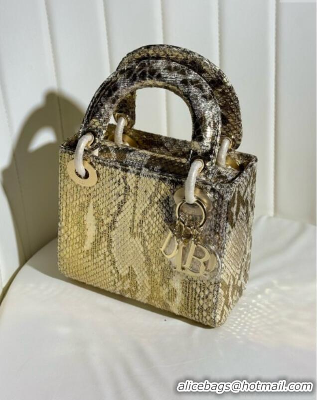 Buy Discount Dior Mini Lady Dior Bag in Python Leather D123008 Grey/Gold 2024