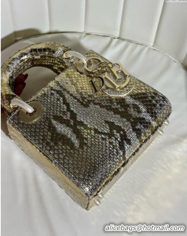 Buy Discount Dior Mini Lady Dior Bag in Python Leather D123008 Grey/Gold 2024