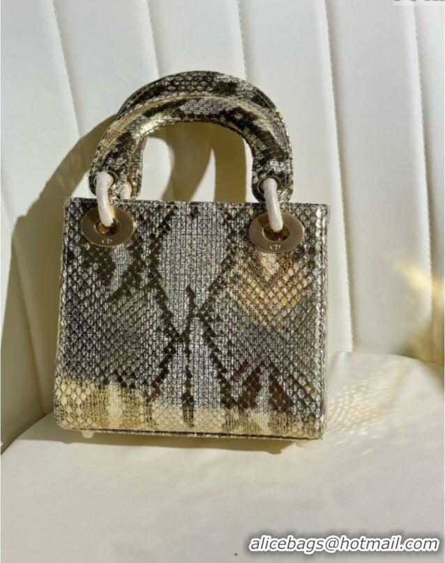 Buy Discount Dior Mini Lady Dior Bag in Python Leather D123008 Grey/Gold 2024