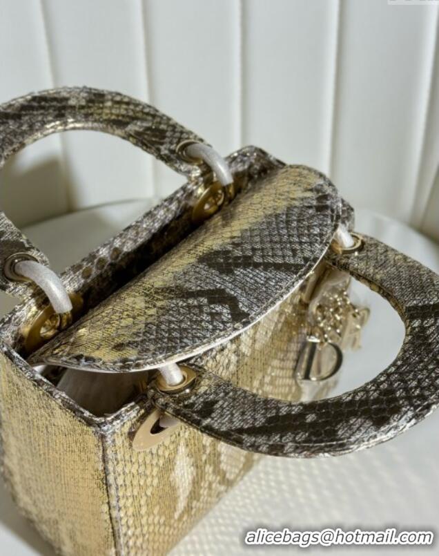 Buy Discount Dior Mini Lady Dior Bag in Python Leather D123008 Grey/Gold 2024