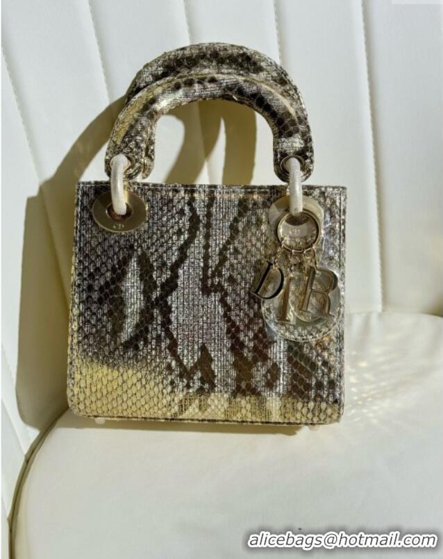 Buy Discount Dior Mini Lady Dior Bag in Python Leather D123008 Grey/Gold 2024