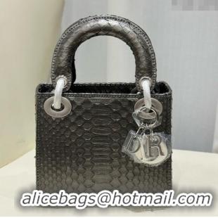 Top Grade Dior Mini Lady Dior Bag in Python Leather D123014 Grey/Silver 2024