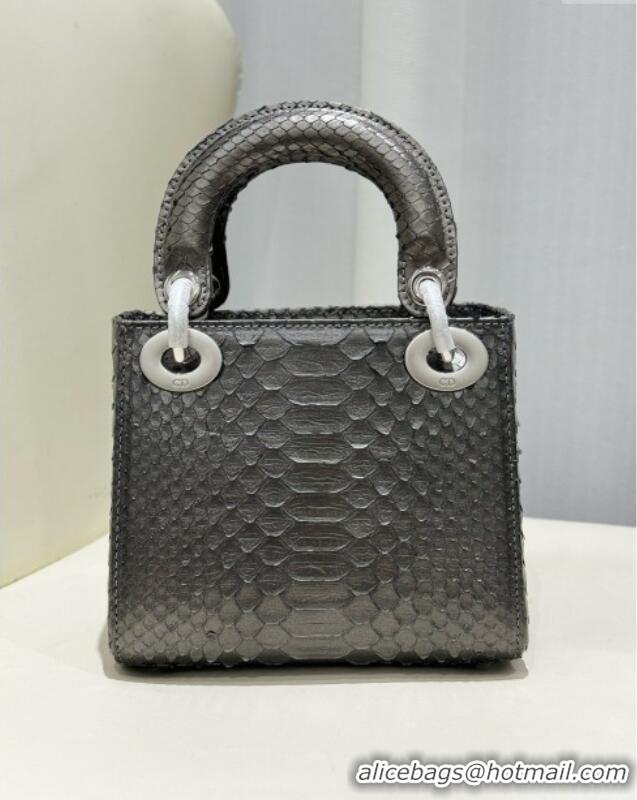 Top Grade Dior Mini Lady Dior Bag in Python Leather D123014 Grey/Silver 2024