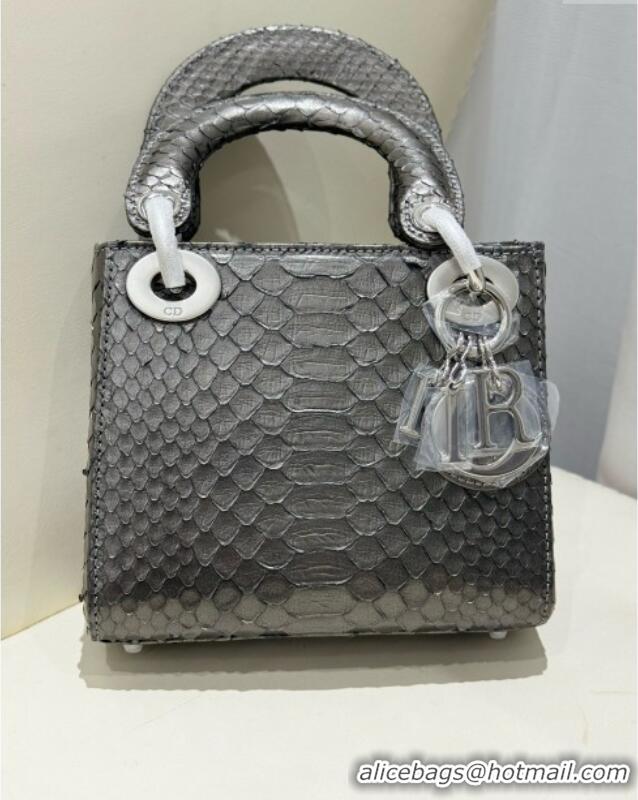 Top Grade Dior Mini Lady Dior Bag in Python Leather D123014 Grey/Silver 2024