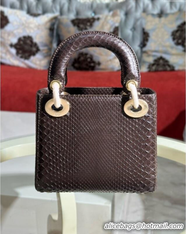 Luxurious Dior Mini Lady Dior Bag in Python Leather D123015 Chocolate Brown 2024