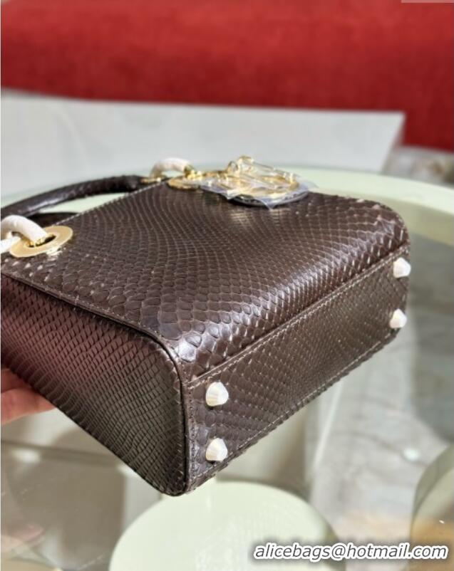 Luxurious Dior Mini Lady Dior Bag in Python Leather D123015 Chocolate Brown 2024