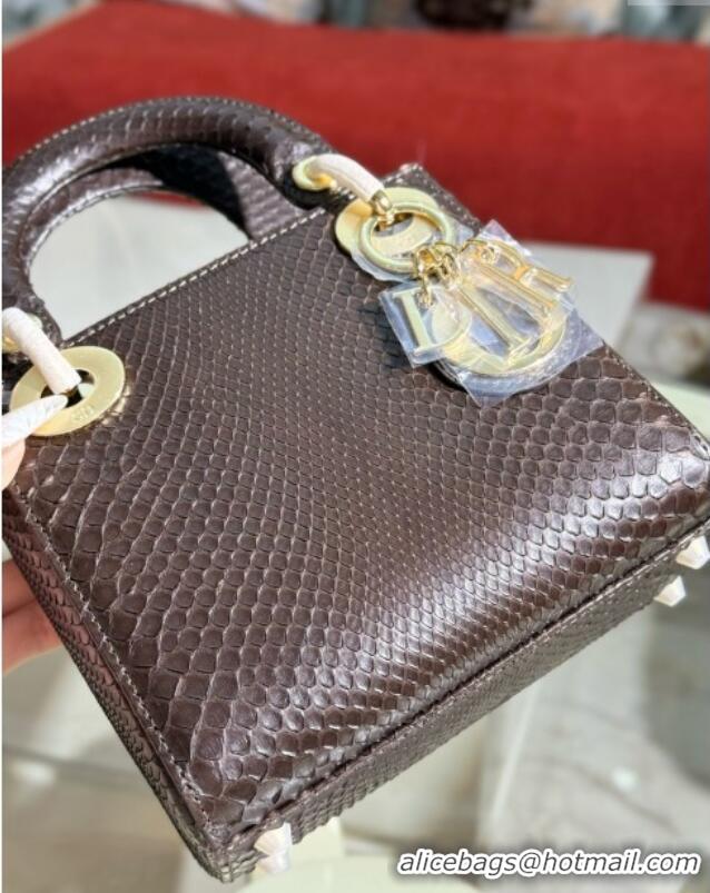 Luxurious Dior Mini Lady Dior Bag in Python Leather D123015 Chocolate Brown 2024