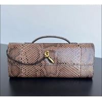 Famous Brand Bottega Veneta Andiamo Clutch Bag in python leather 794945 Fondant Brown 2024