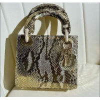 Buy Discount Dior Mini Lady Dior Bag in Python Leather D123008 Grey/Gold 2024