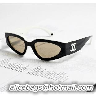 Promotional New Style Chanel Sunglasses CH6057