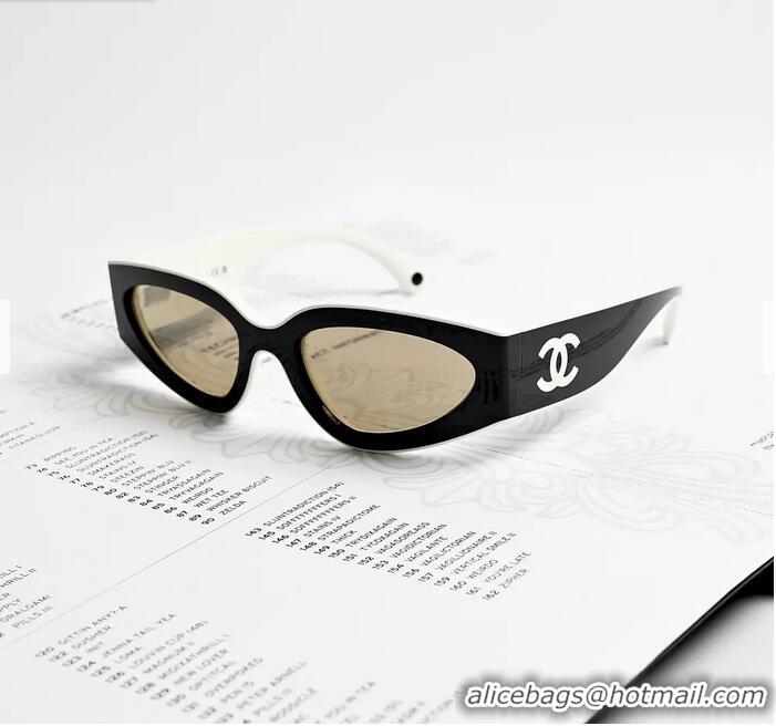 Promotional New Style Chanel Sunglasses CH6057