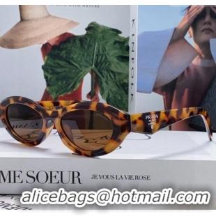 Traditional Specials Prada Sunglasses PR102501 Brown 2024