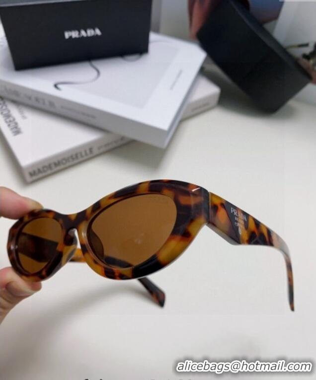 Traditional Specials Prada Sunglasses PR102501 Brown 2024