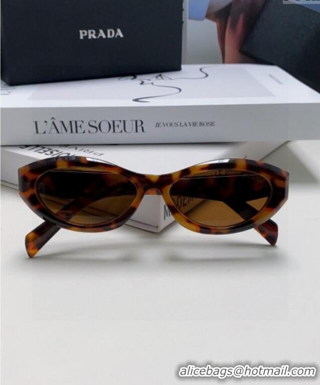 Traditional Specials Prada Sunglasses PR102501 Brown 2024