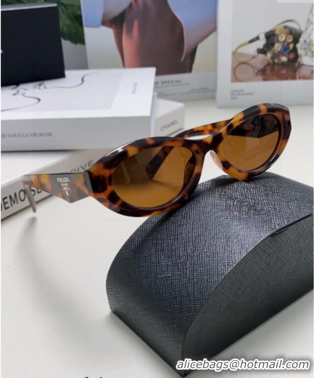 Traditional Specials Prada Sunglasses PR102501 Brown 2024