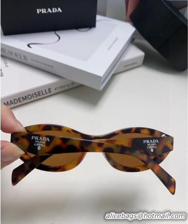 Traditional Specials Prada Sunglasses PR102501 Brown 2024