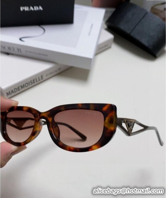 Well Crafted Prada Sunglasses PR102502 Brown 2024