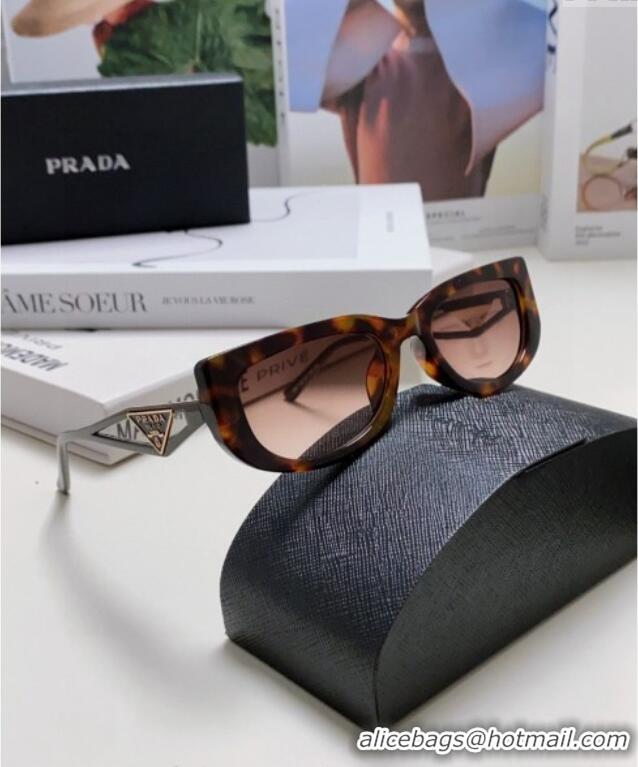 Well Crafted Prada Sunglasses PR102502 Brown 2024