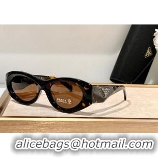 New Product Prada Sunglasses SPR20Z Brown 2024