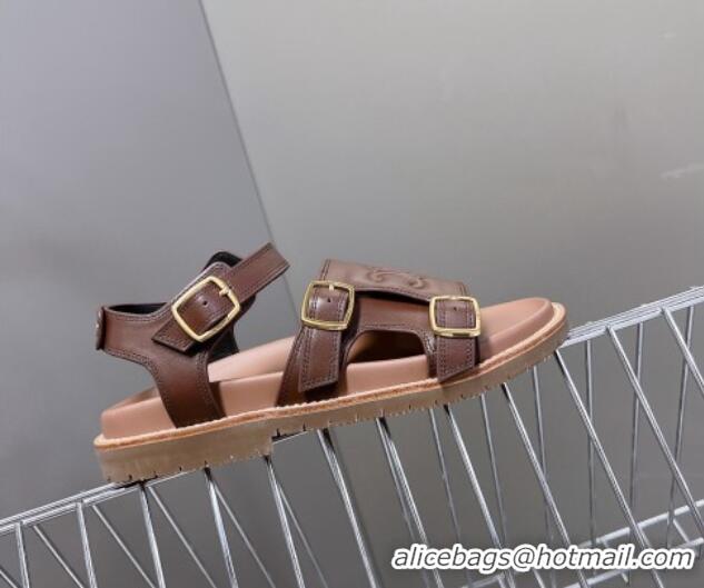 Good Product Celine Mino Flat Sandals in Calfskin with Buckle Dark Brown 1223109