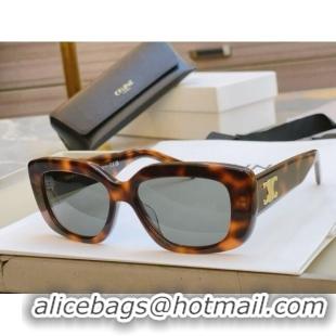 Top Design Celine Sunglasses CE40216 Brown 2024