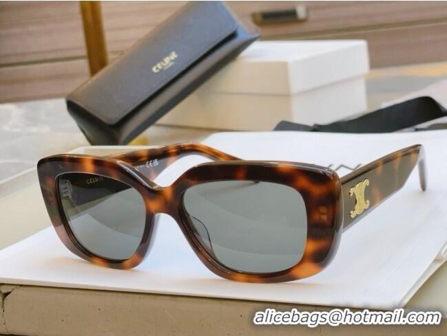 Top Design Celine Sunglasses CE40216 Brown 2024