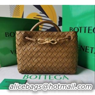 Hot Sell Bottega Veneta Small Andiamo Top Handle Bag in Intrecciato Leather 743568 Acorn Brown 2025