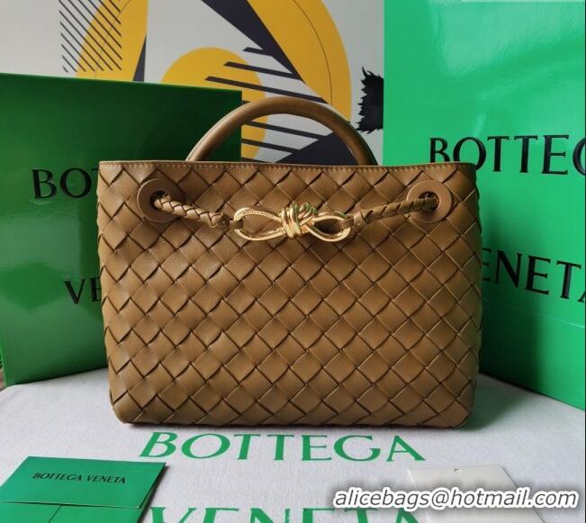 Hot Sell Bottega Veneta Small Andiamo Top Handle Bag in Intrecciato Leather 743568 Acorn Brown 2025