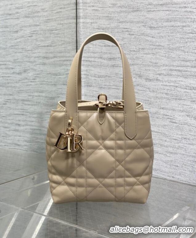 Top Grade Dior Small Toujours Vertical Tote Bag in Macrocannage Calfskin 2835 Powder Beige 2025