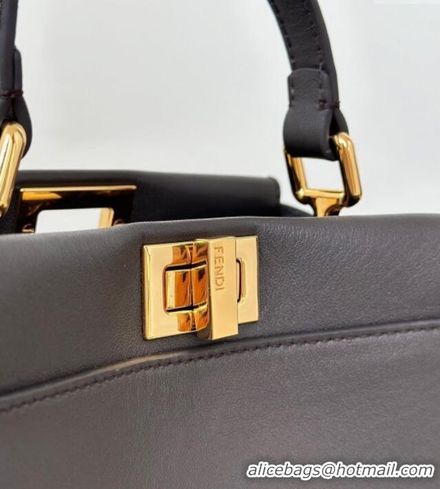 Promotional Fendi Peekaboo Mini Bag in Calfskin Leather 2125 Dark Coffee Brown 2025 Top Quality