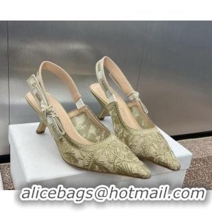 Luxurious Dior J'Adior Slingback Pumps 6.5cm in Transparent Mesh with Gold-Tone Chardons Embroidery 1231038