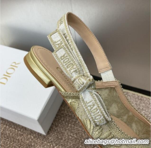 Popular Style Dior J'Adior Slingback Ballet Flat in Transparent Mesh with Gold-Tone Chardons Embroidery 1231039